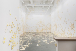 Christopher Chiappa, Installation "Livestrong", Galerie Kate Werble, New York 2015. http://www.katewerblegallery.com/index.php?/artists/christopher-chiappa/